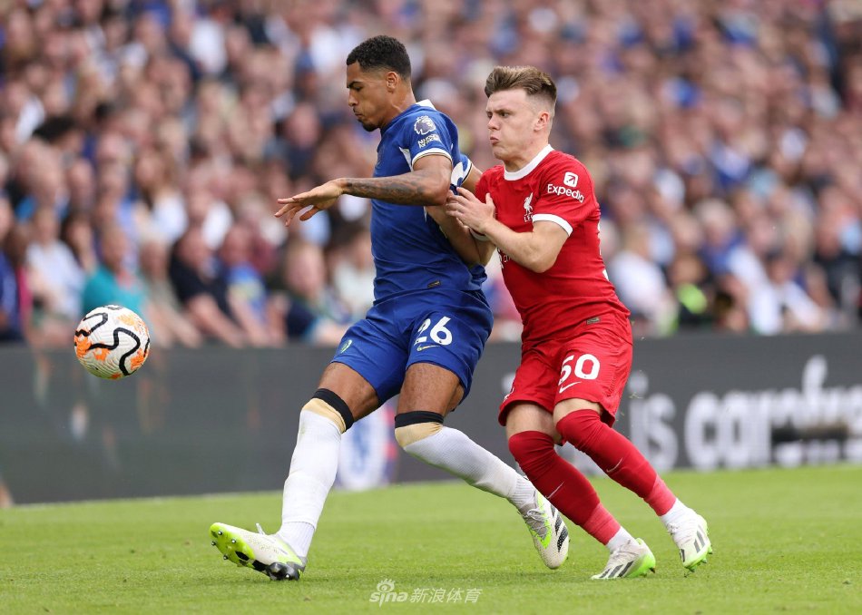 利森状态波 利森状态波